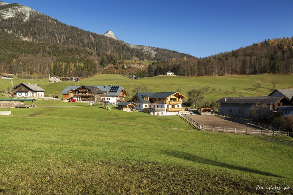 Reiterhof Suassbauer Villa Sankt Wolfgang im Salzkammergut Exterior photo